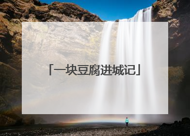 一块豆腐进城记