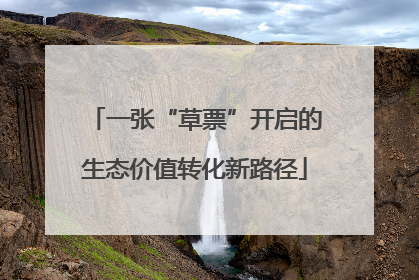 一张“草票”开启的生态价值转化新路径