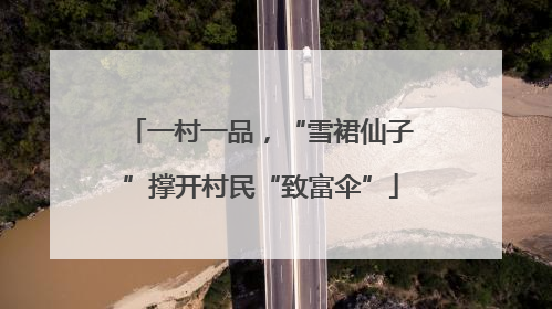 一村一品，“雪裙仙子”撑开村民“致富伞”