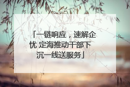 一链响应，速解企忧 定海推动干部下沉一线送服务