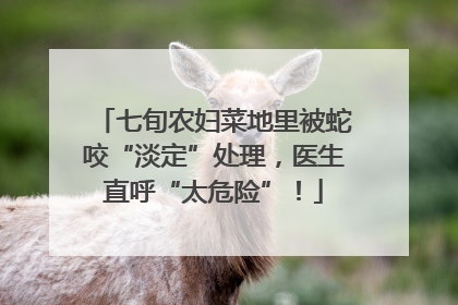 七旬农妇菜地里被蛇咬“淡定”处理，医生直呼“太危险”！