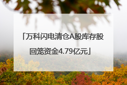 万科闪电清仓A股库存股 回笼资金4.79亿元