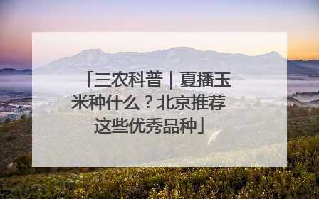 三农科普｜夏播玉米种什么？北京推荐这些优秀品种