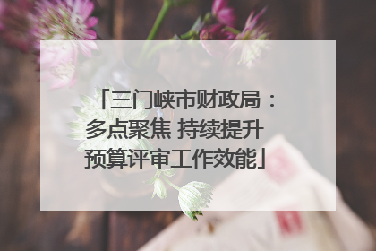三门峡市财政局：多点聚焦 持续提升预算评审工作效能