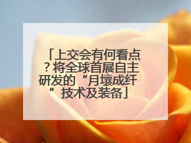 上交会有何看点？将全球首展自主研发的“月壤成纤”技术及装备