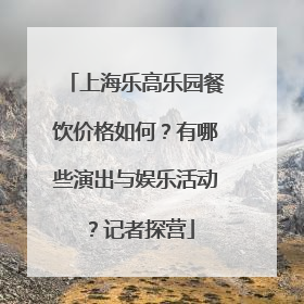 上海乐高乐园餐饮价格如何？有哪些演出与娱乐活动？记者探营