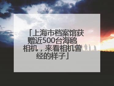 上海市档案馆获赠近500台海鸥相机，来看相机曾经的样子