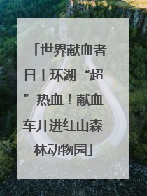 世界献血者日丨环湖“超”热血！献血车开进红山森林动物园