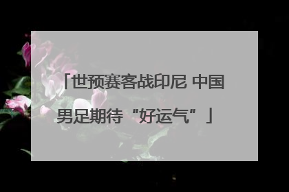 世预赛客战印尼 中国男足期待“好运气”