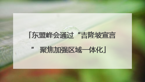 东盟峰会通过“吉隆坡宣言” 聚焦加强区域一体化