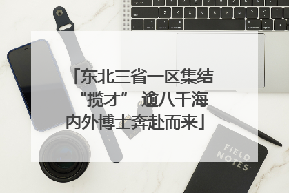 东北三省一区集结“揽才” 逾八千海内外博士奔赴而来
