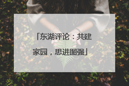 东湖评论：共建家园，思进图强