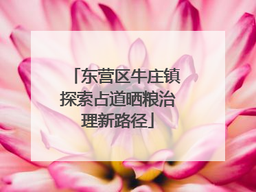 东营区牛庄镇探索占道晒粮治理新路径