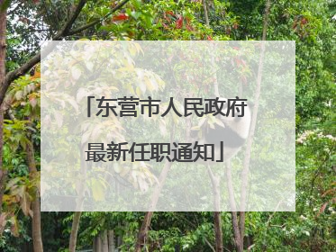 东营市人民政府最新任职通知