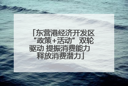 东营港经济开发区“政策+活动”双轮驱动 提振消费能力 释放消费潜力