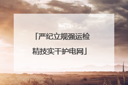 严纪立规强运检 精技实干护电网