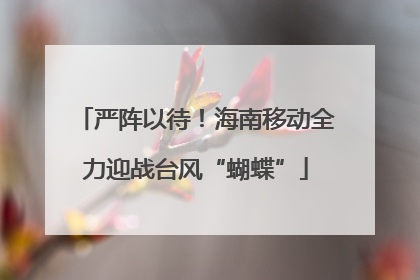 严阵以待！海南移动全力迎战台风“蝴蝶”