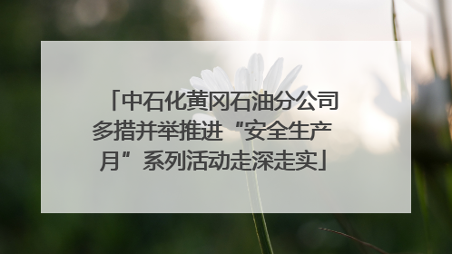 中石化黄冈石油分公司多措并举推进“安全生产月”系列活动走深走实