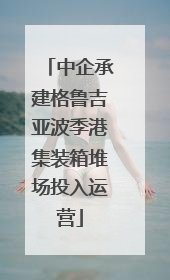 中企承建格鲁吉亚波季港集装箱堆场投入运营
