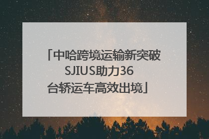中哈跨境运输新突破 SJIUS助力36台轿运车高效出境
