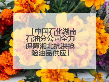 中国石化湖南石油分公司全力保障湘北抗洪抢险油品供应