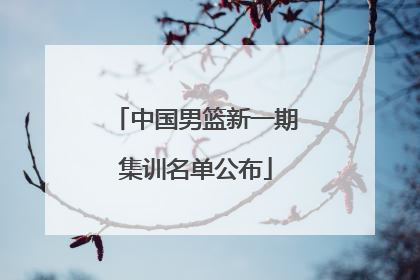 中国男篮新一期集训名单公布