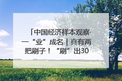 中国经济样本观察·一“业”成名｜真有两把刷子！“刷”出30亿级“颜值经济”