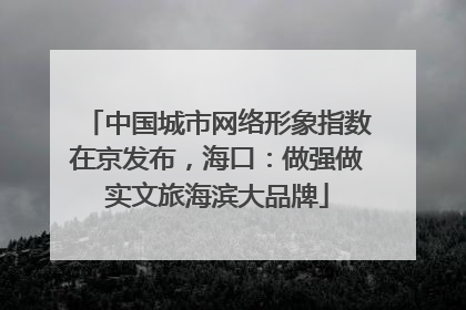 中国城市网络形象指数在京发布，海口：做强做实文旅海滨大品牌