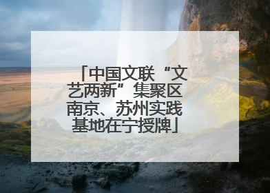 中国文联“文艺两新”集聚区南京、苏州实践基地在宁授牌