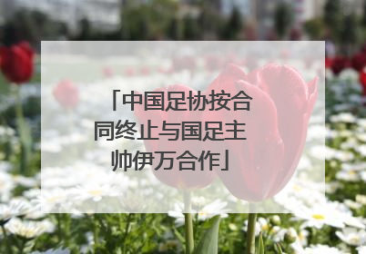 中国足协按合同终止与国足主帅伊万合作