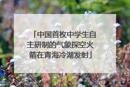 中国首枚中学生自主研制的气象探空火箭在青海冷湖发射