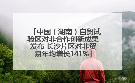 中国（湖南）自贸试验区对非合作创新成果发布 长沙片区对非贸易年均增长141%
