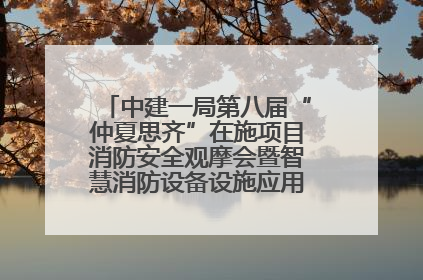 中建一局第八届“仲夏思齐”在施项目消防安全观摩会暨智慧消防设备设施应用交流会成功举办