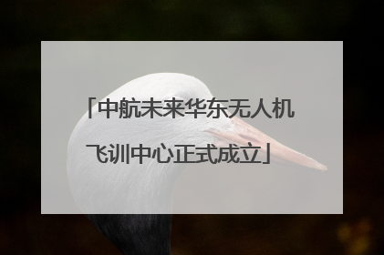 中航未来华东无人机飞训中心正式成立