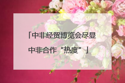 中非经贸博览会尽显中非合作“热度”