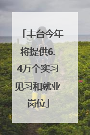 丰台今年将提供6.4万个实习见习和就业岗位