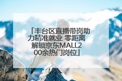 丰台区直播带岗助力精准就业 零距离解锁京东MALL200余热门岗位