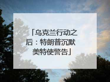 乌克兰行动之后：特朗普沉默 美特使警告