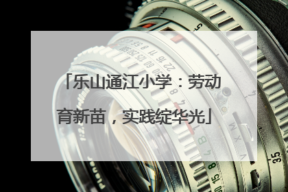 乐山通江小学：劳动育新苗，实践绽华光
