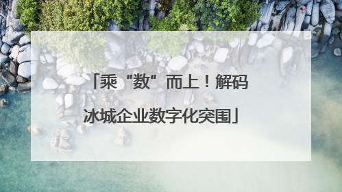 乘“数”而上！解码冰城企业数字化突围