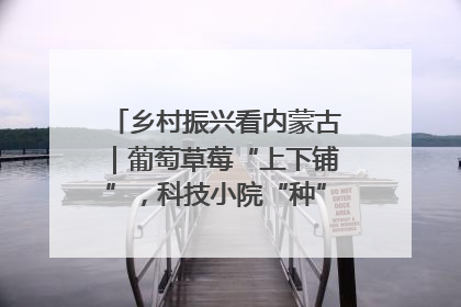 乡村振兴看内蒙古｜葡萄草莓“上下铺”，科技小院“种”出三倍效益