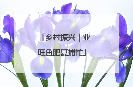 乡村振兴｜业旺鱼肥夏捕忙