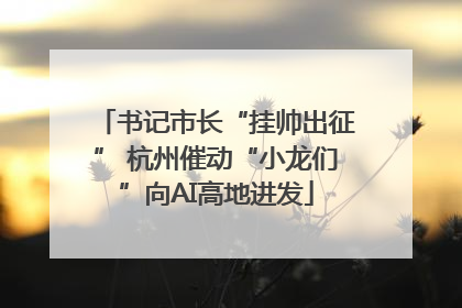 书记市长“挂帅出征” 杭州催动“小龙们”向AI高地进发