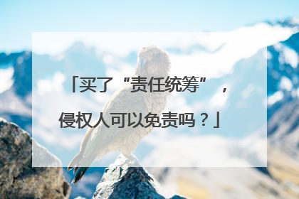 买了“责任统筹”，侵权人可以免责吗？