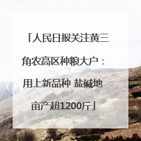 人民日报关注黄三角农高区种粮大户：用上新品种 盐碱地亩产超1200斤