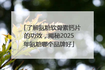 了解氨糖软骨素钙片的功效，揭秘2025年氨糖哪个品牌好