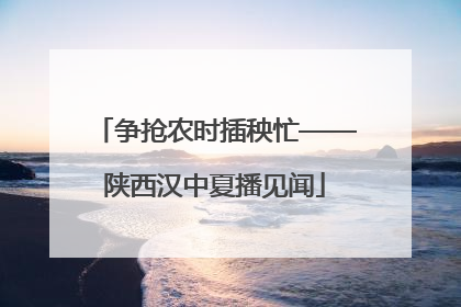 争抢农时插秧忙——陕西汉中夏播见闻