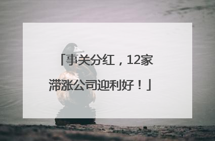事关分红，12家滞涨公司迎利好！
