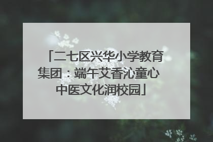 二七区兴华小学教育集团：端午艾香沁童心 中医文化润校园