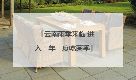 云南雨季来临 进入一年一度吃菌季